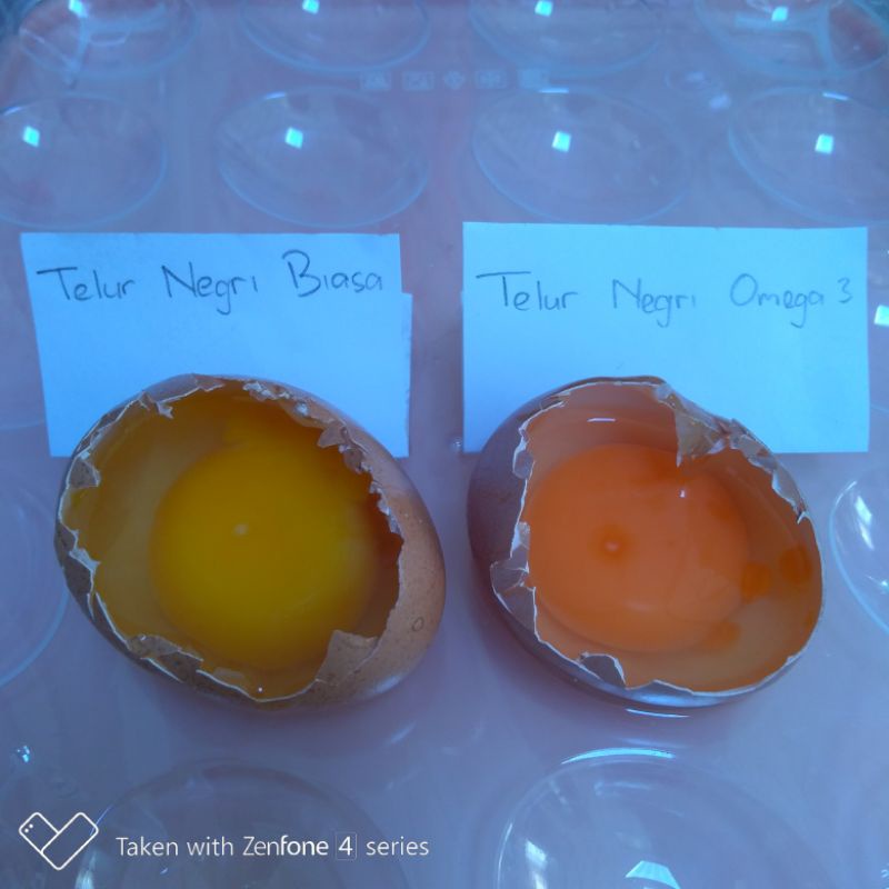 

Telur Omega 1 tray Bandung Murah