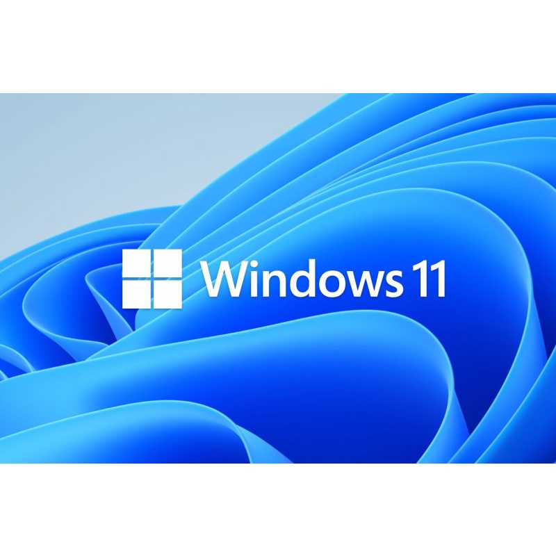 WINDOWS 11 ( PRO / HOME ) 64Bit Eng Int 1pk DSP OEI DVD (OEM)