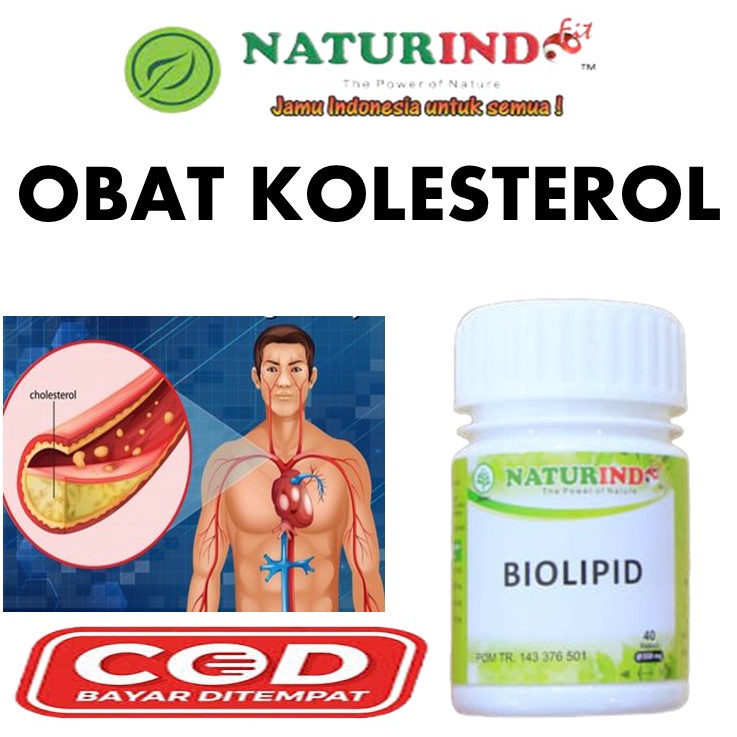 Jual Biolipid Obat Kolesterol Kolestrol Darah Tingi Hipertensi Asam ...