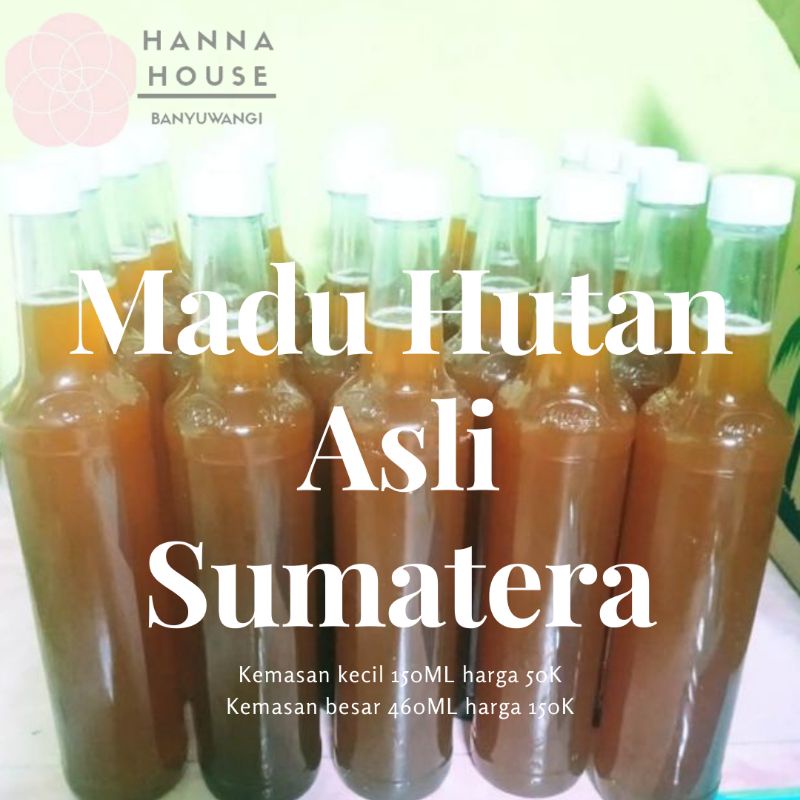 

Madu Asli Madu Hutan Asli Sumatera Madu Murni Hutan Sumatera