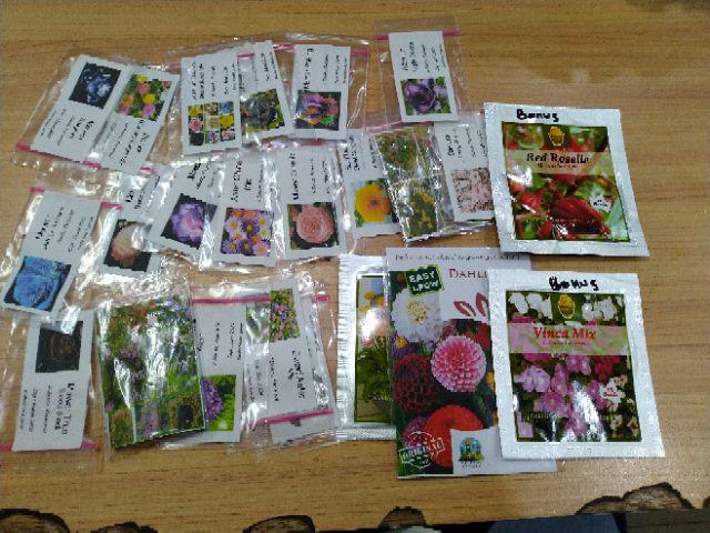 Benih Biji Zinnia Binnary Bright Mix Fullcolour Warna Warni 10 Seed