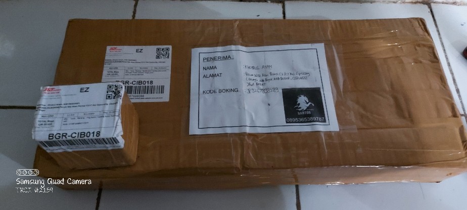 Hendel Pintu / Tarikan Pintu Rumah Kuningan Model Pendopo Harga Grosir