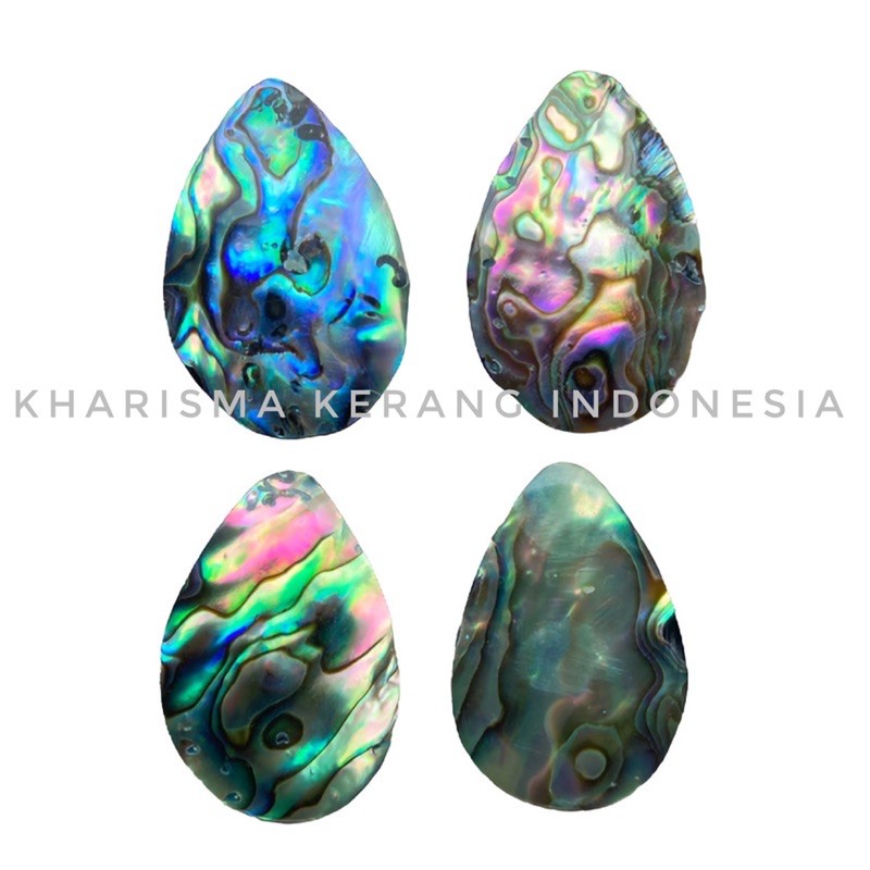 Páua Abalone Shell Pendant Abalone Tile Kerang Abalon Kulit Abalon Kulit Kerang Abalon Paua Abalone