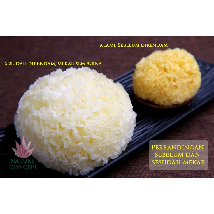 White Fungus Jamur Putih Salju Yin Er kualitas SUPER Terbaik (PADAT) SATUAN (1 PC)