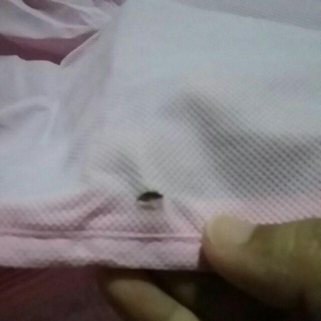 Dual Zip Storage Box Upto 5cm / Extra Ruang 5 Cm Storage Box / Living Box