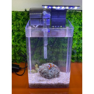 Harga Aquarium Laut Terbaik Peliharaan Perawatan Hewan Hobi Koleksi Juni 2021 Shopee Indonesia