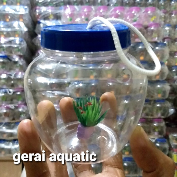 aquarium mini bulat bahan plastik aquarium