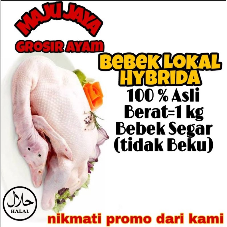 BEBEK LOKAL HYBRIDA UTUH 1 EKOR / BEBEK ASLI BERAT 1 - 1,3 KG FRESH MURAH BERSIH