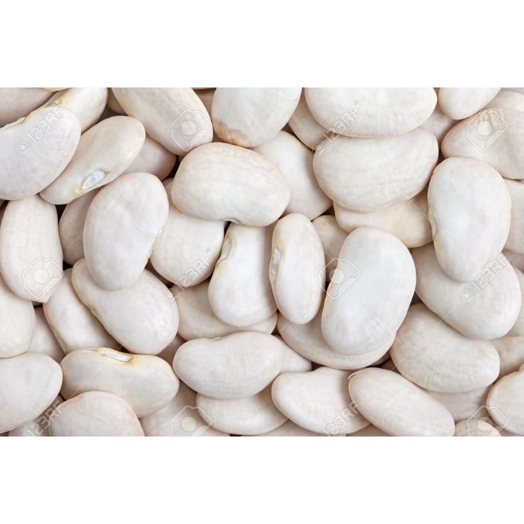 Lima Bean Kacang Lima 100g | Shopee Indonesia