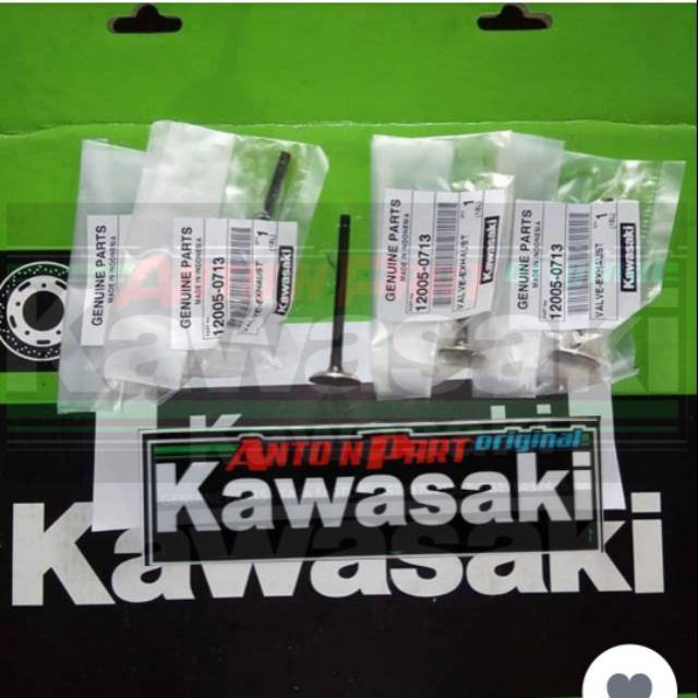 Klep ex blitz edge zx130 original kawasaki