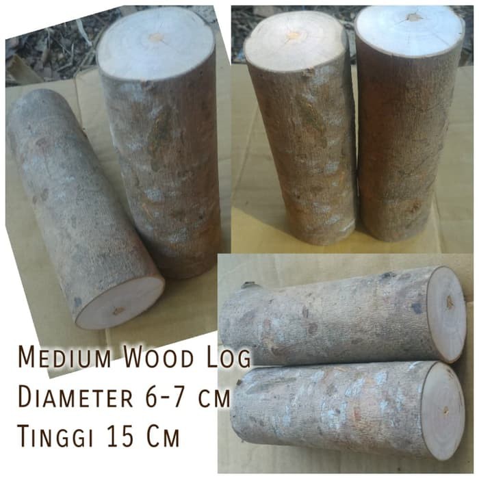 Medium wood log tinggi 15 cm diameter 6-7 cm dekorasi craft diy