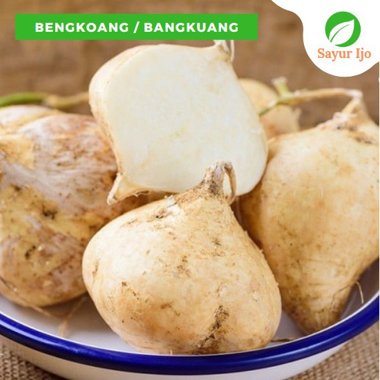 

Bengkoang 950 - 1000 Gram Fresh Jicama Bangkuang Buah Segar