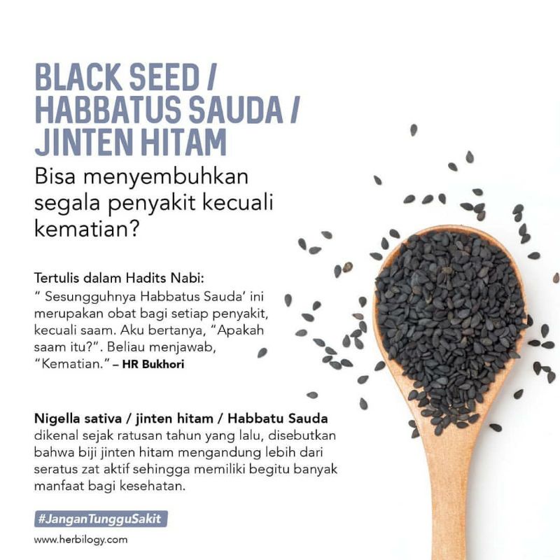 HERBILOGY Black Seed in Vegetable Capsule Habbatussauda Jintan Hitam