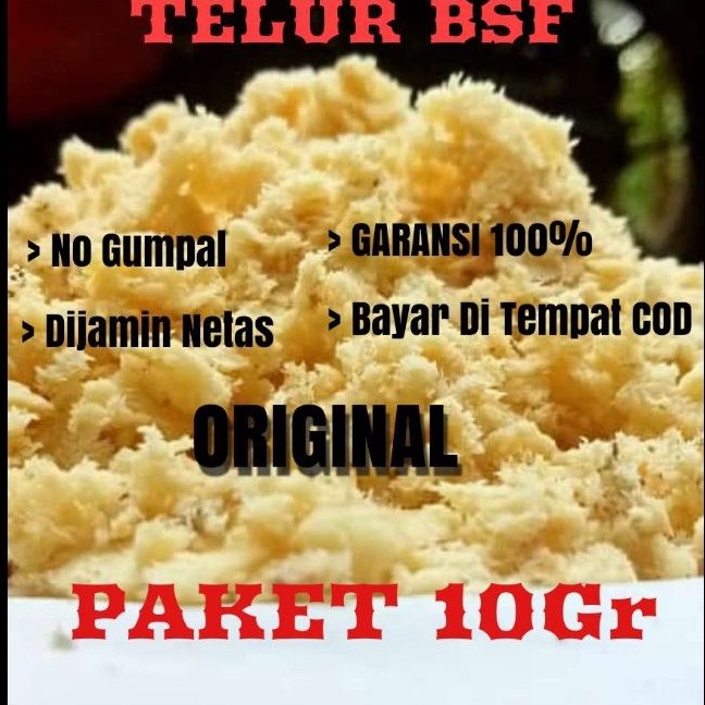 Telur bsf maggot bsf / telur lalat bsf paket 10grm
