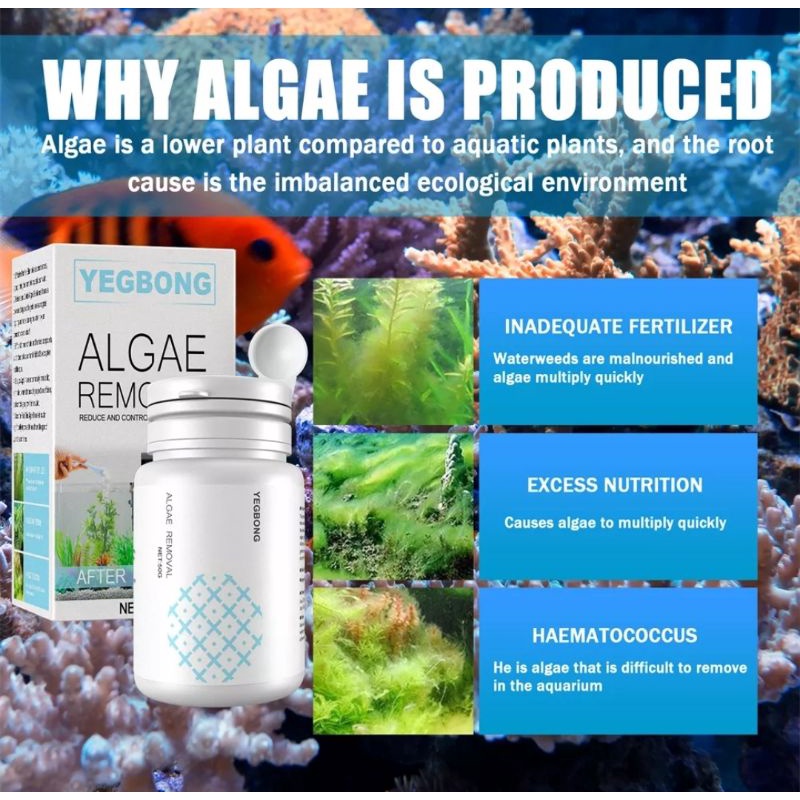 anti algae tablet 50 pcs untuk aquascape aquarium / anti algae tablet / anti algae / anti alga