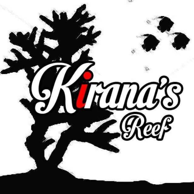 kirana_reef