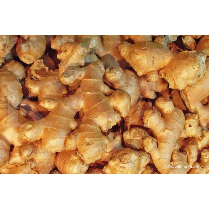 

Bumbu Dapur jahe Rempah Rempah Bumbu Dapur Jakarta