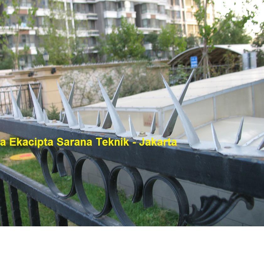❃ & KUAT Panjang 125cm & Tebal 2mm - Wall Spike setajam Silet untuk Anti Maling Panjat Pagar ➺