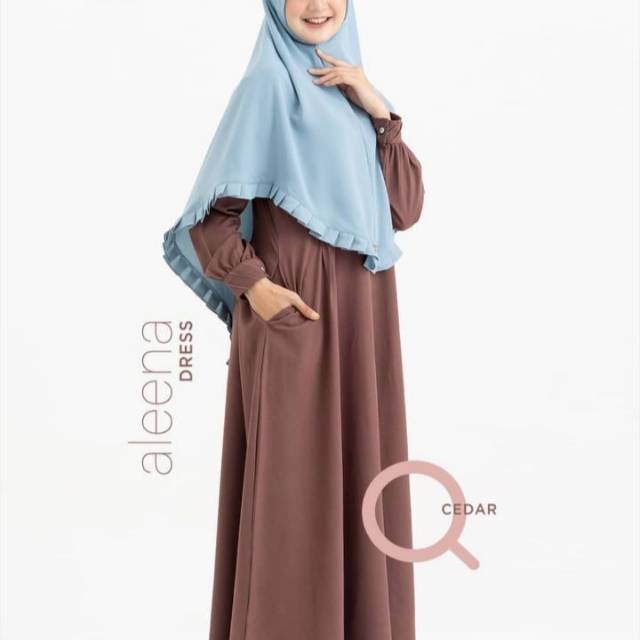 Aleena dress