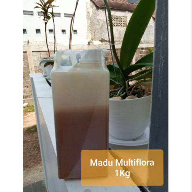 

[Madu Hutan Asli] Madu Multiflora 1Kg