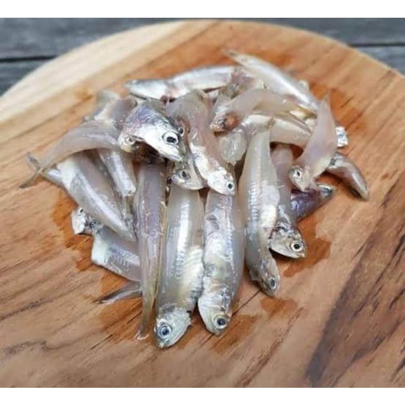 

Ikan Teri Basah Segar / Ikan Bilis Segar