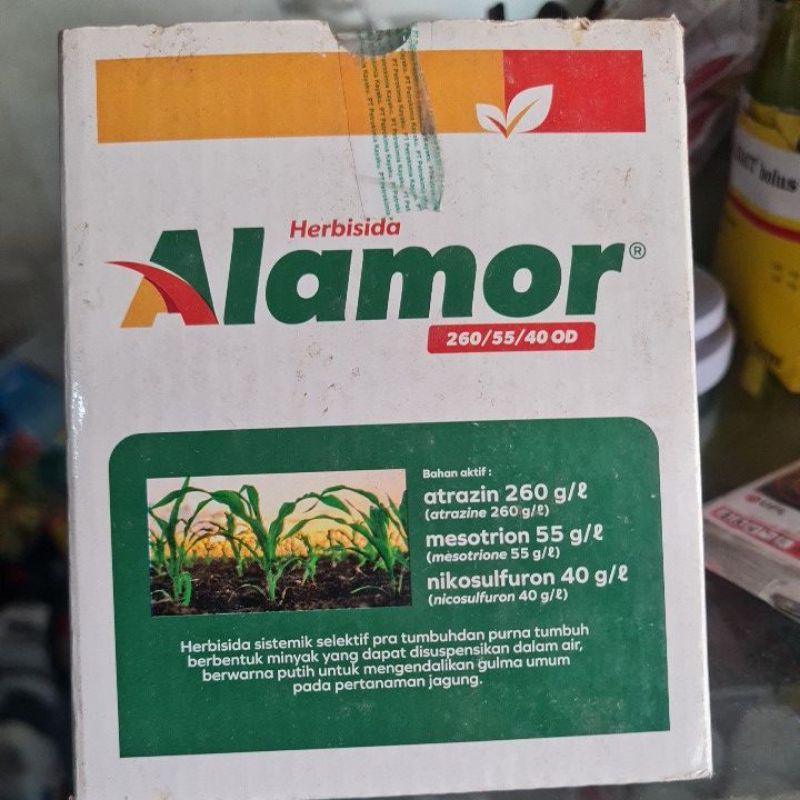 herbisida alamor 200ml basmi rumput lulangan tanaman jagung