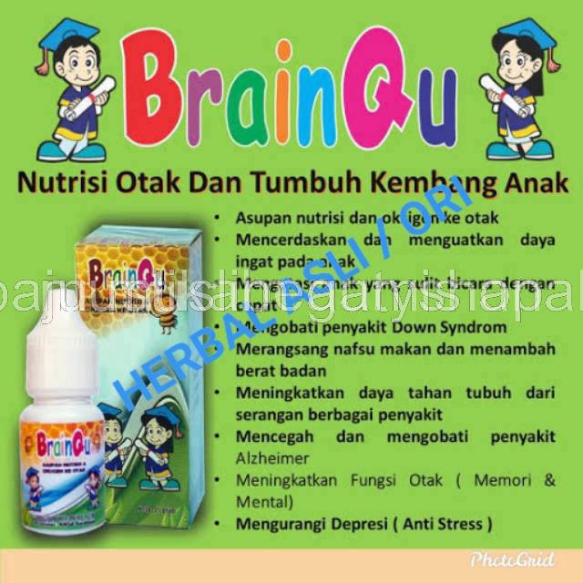 BRAINQU Nutrisi Otak Anak Madu Anak Pintar Madu Pintar