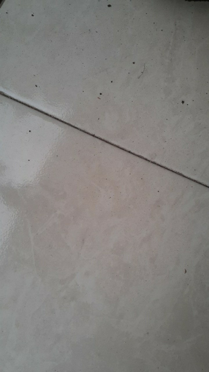 Wall Decor Poster Kaktus Sukulen Pajangan Hiasan Dinding Daun Monstera Tropical  Succulent - Bc19