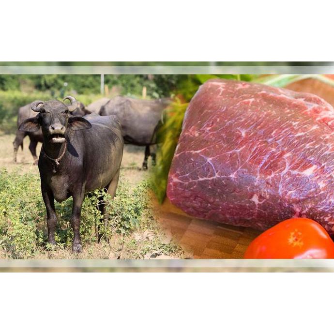 

ENAK Daging Kerbau Allana Import BANYAK RASA