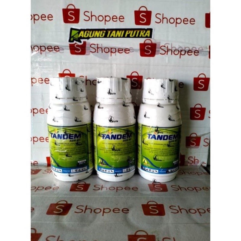 Fungisida Tandem 325 SC