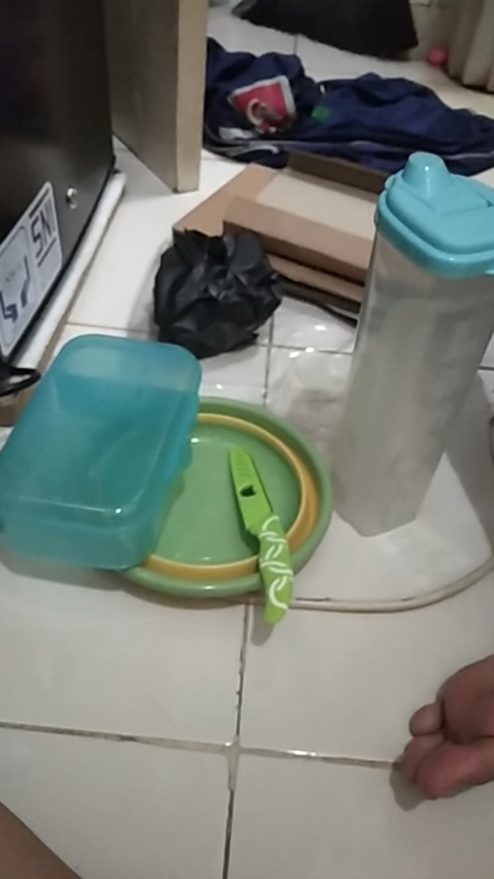 Kotak Makan / Tempat Bekal Manggis
