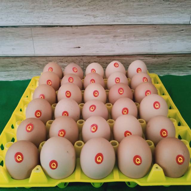 

Telur Omega 3 isi 30