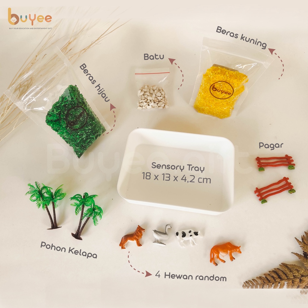 SENSORY PLAY | Sensory Bin hewan | Mainan Montessori Beras dan Hewan