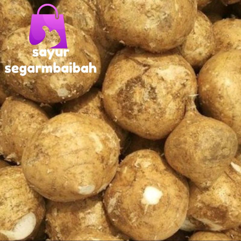 

Buah bengkoang