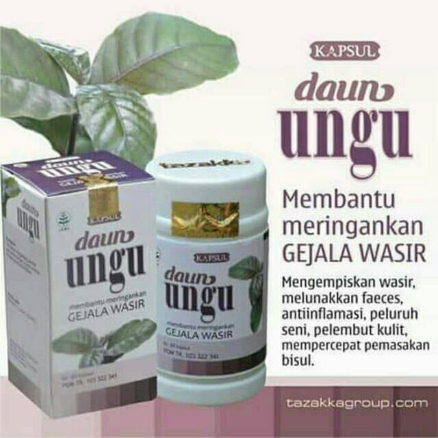 Kapsul Daun Ungu Tazakka Obat Herbal Wasir Ambein