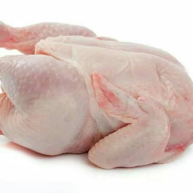 Daging Ayam Broiler 1 4 Ekor Berat Sekitar 250 Gram Pack Shopee Indonesia