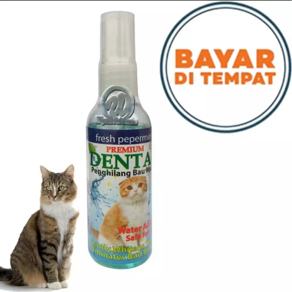 OBAT SARIAWAN KUCING PENGHILANG BAU MULUT DENTAL CAT