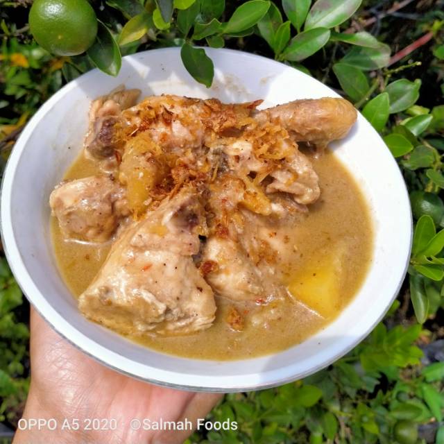 

Ayam Opor