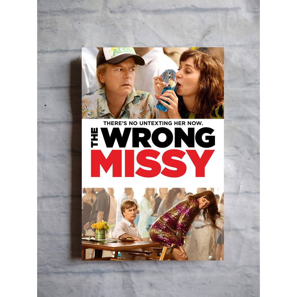 Poster film The Wrong Missy dekorasi hiasan dinding kayu vintage retro bioskop pajangan