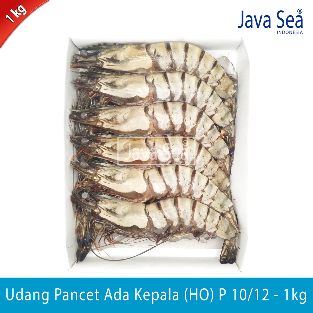 

Udang Pancet Utuh Ada Kepala HO P 10/12 pack 1kg Java Sea