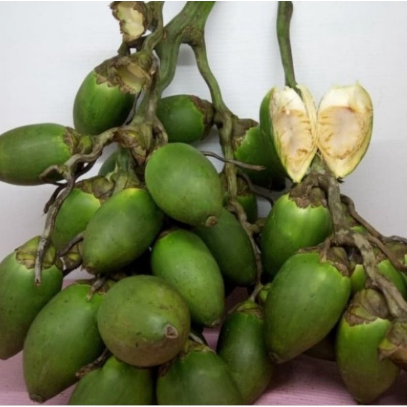 

Buah Pinang Muda Per Pcs Isi 10 Biji