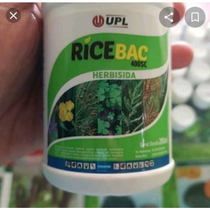 herbisida ricebac 400sc selektif untuk tanaman padi