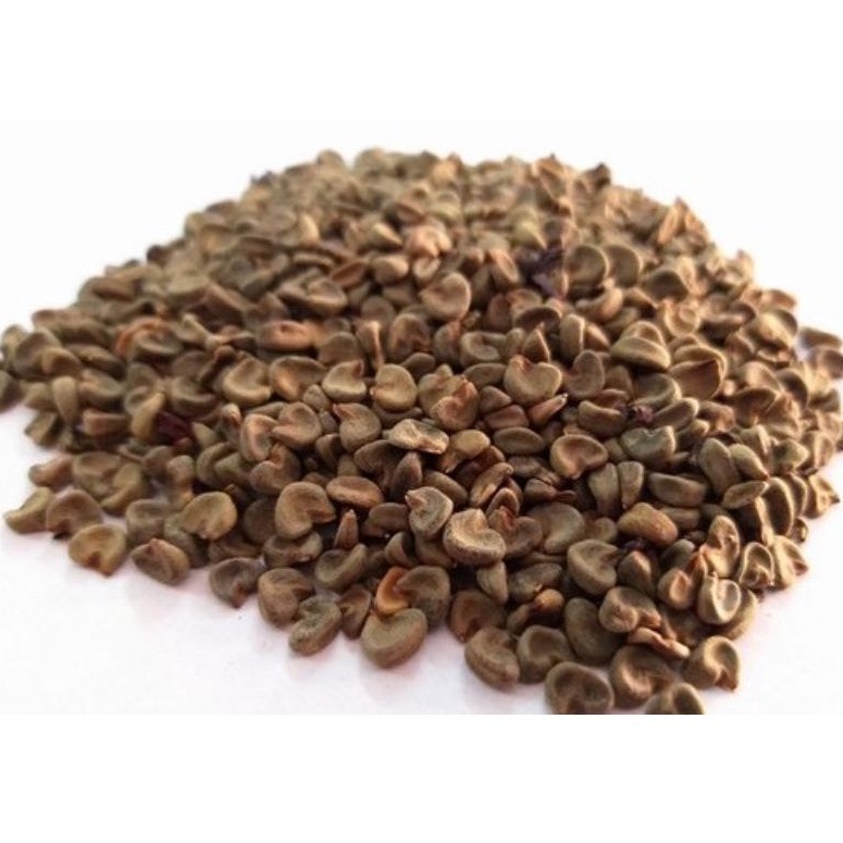 

Premium Seeds Biji / Benih Bunga Rosella Rosela Hibiscus Sabdariffa Isi 1kg 1 Kg