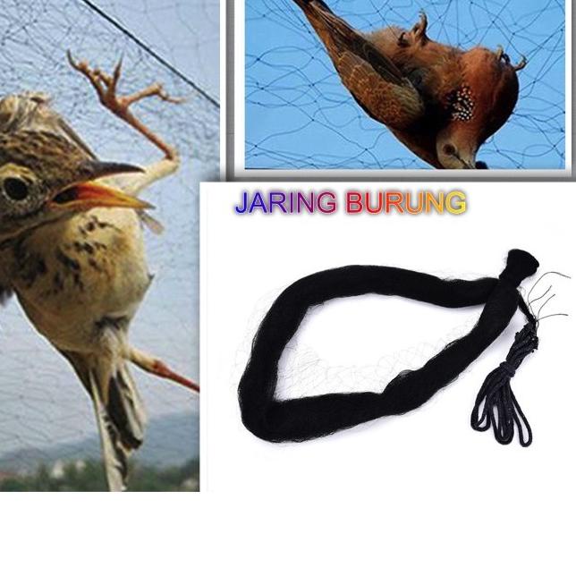 ✩ JALA JARING BURUNG PUKAT BURUNG PAGAR ⅍