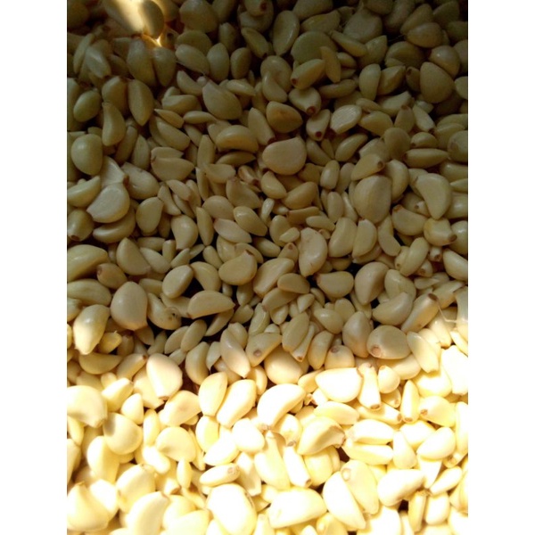 

bawang putih kupas
