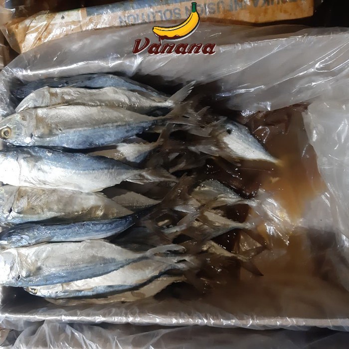 

VANANA Ikan Asin Peda Putih 1/4(250g)