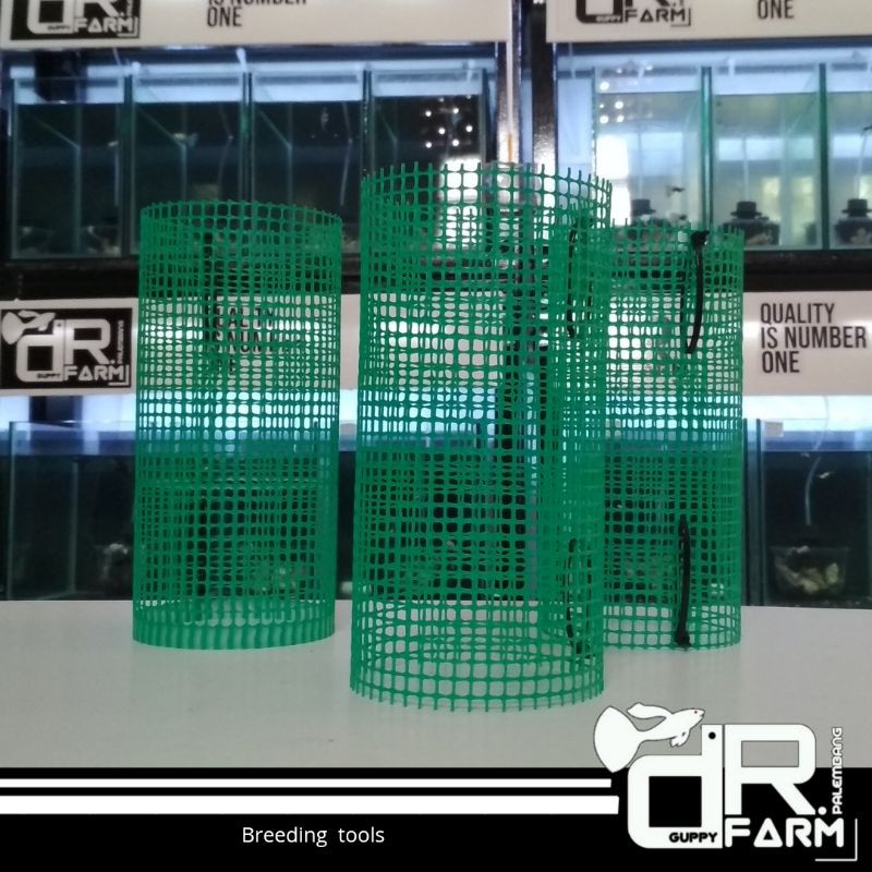 box breeding guppy / kawat breeding / kawat plastik