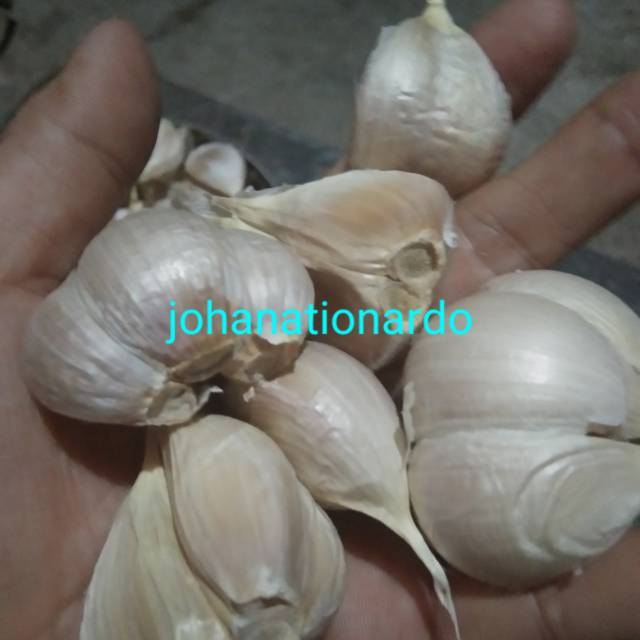 

Bawang putih kating bersih 1 kg