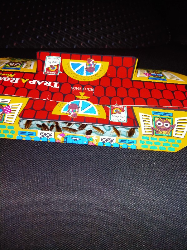 Rumah Kecoa Hoy Hoy Perangkap Kecoa Ampuh