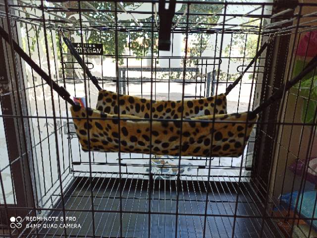 Hammock tempat tidur gantung kucing